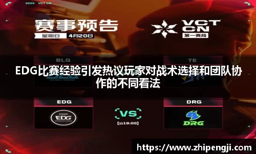 EDG比赛经验引发热议玩家对战术选择和团队协作的不同看法